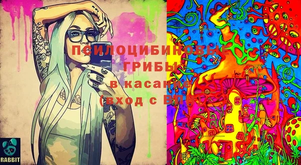 мет Балахна