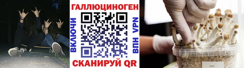 Галлюциногенные грибы Psilocybe  где купить   Белово 